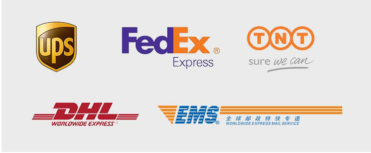 Shipping Logistics Details
